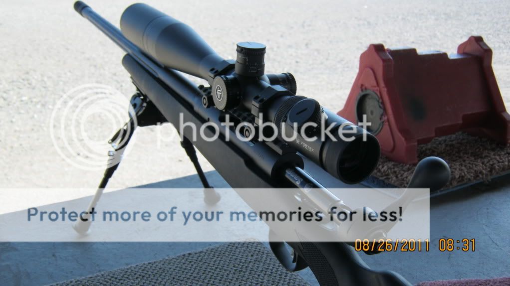 savage6.jpg
