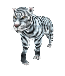 Tiger60.gif
