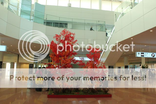  photo IMG_6990_zpsefdcdeb2.jpg