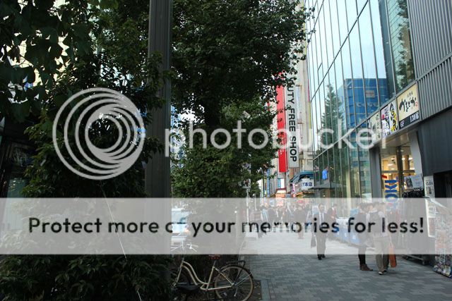  photo IMG_7024_zps40a46e97.jpg