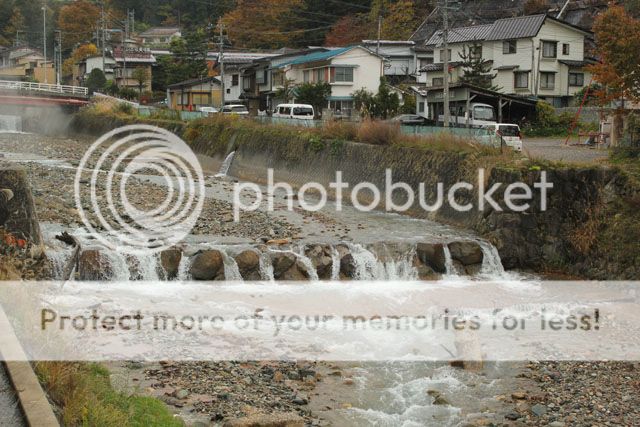  photo IMG_8008_zps91b4cf2a.jpg
