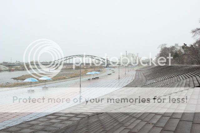  photo IMG_8313_zpsb236669a.jpg