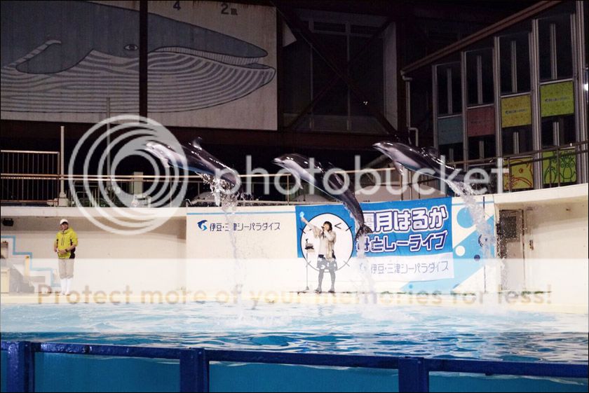 photo 000111_zpsjqw4w5rq.jpg