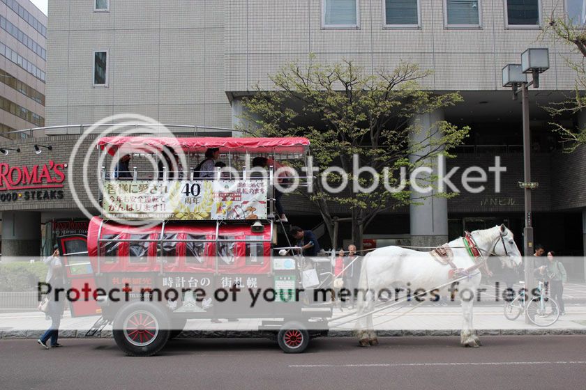photo 11_zpserlhockd.jpg