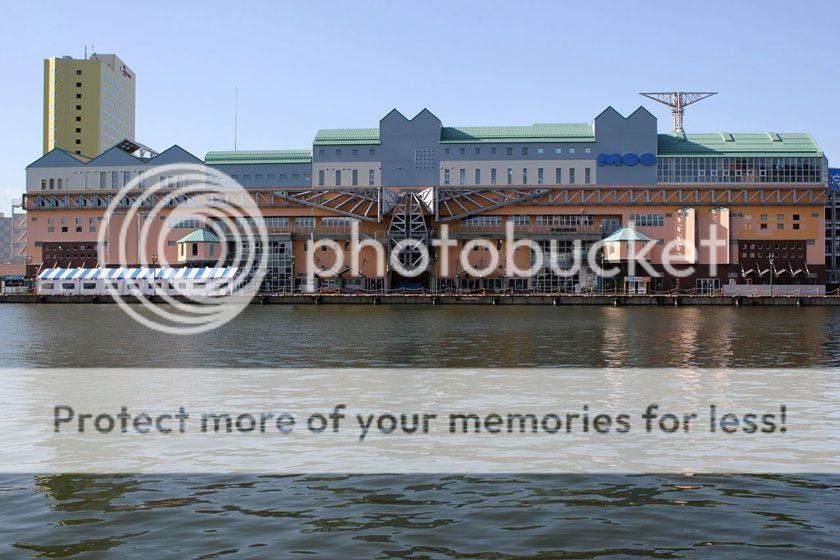 photo 61_zpsa0jibjvf.jpg