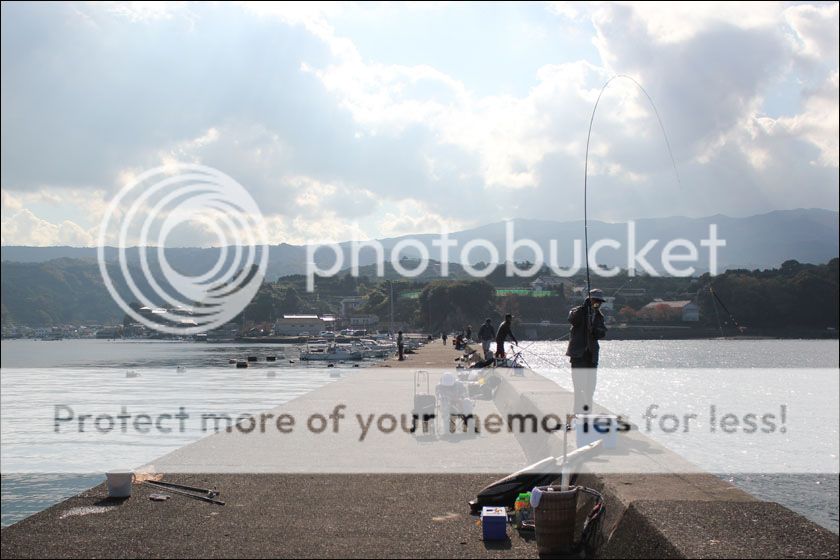 photo IMG_5857_zpsmtnjdytk.jpg