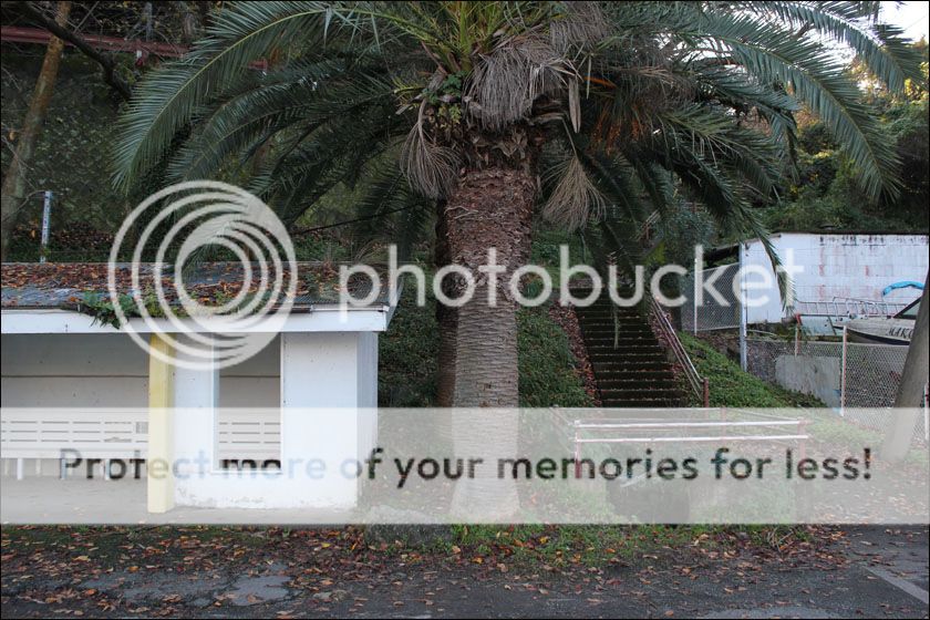 photo IMG_5893_zpskkaehhgm.jpg