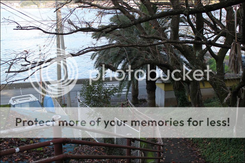 photo IMG_5907_zpsmplyneyf.jpg