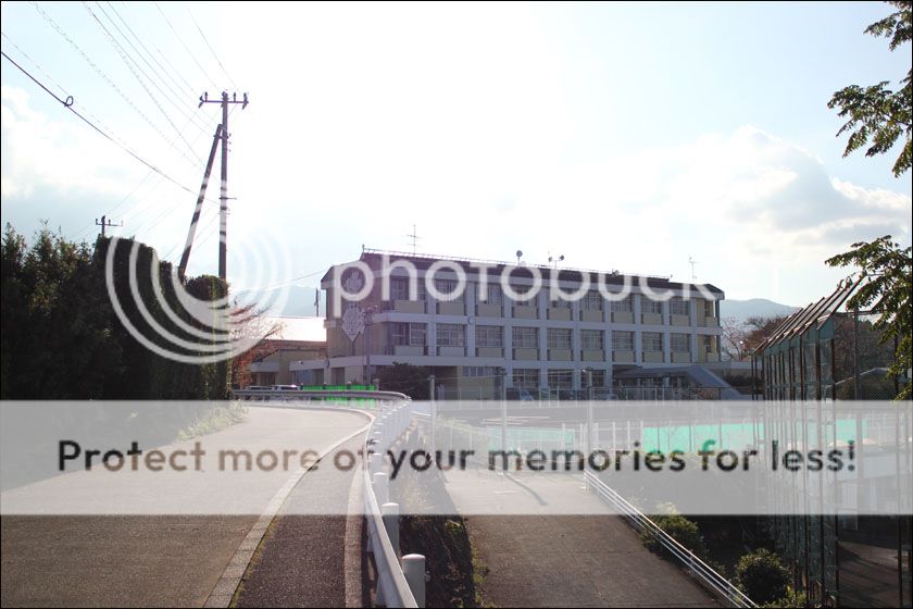 photo IMG_5916_zps9n8y0mkg.jpg