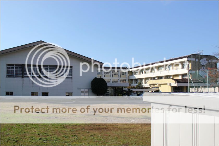 photo IMG_5929_zps3tyvi8lp.jpg