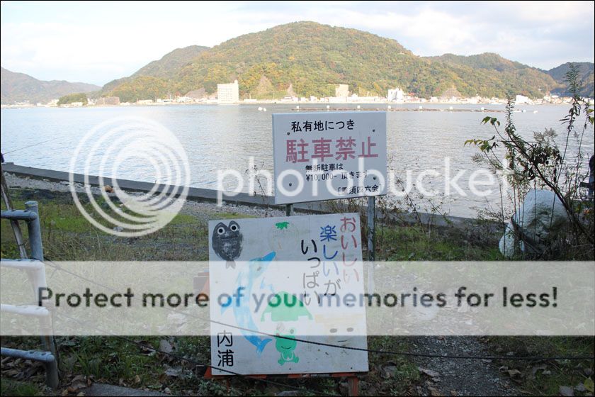 photo IMG_5958_zpstxptvkxh.jpg