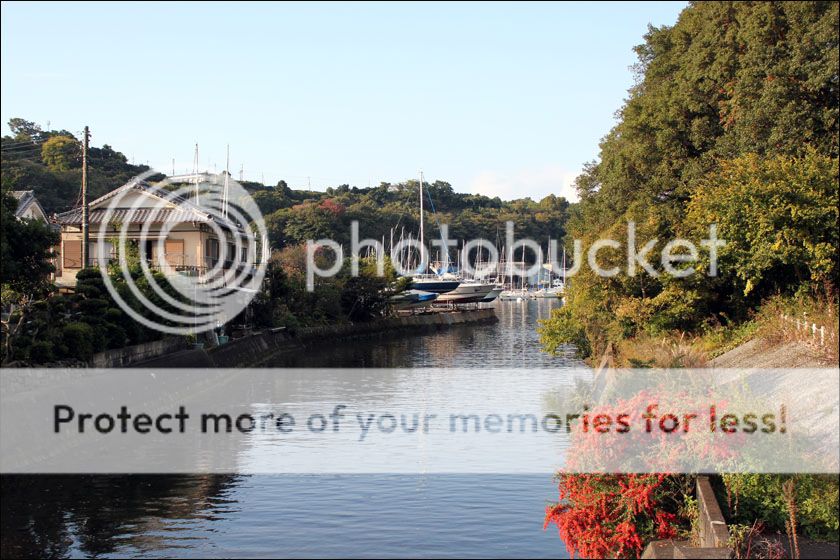 photo IMG_5987_zpsobyecl6z.jpg