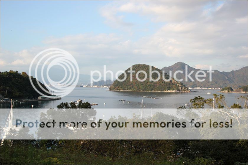photo IMG_5992_zpsddm2clyh.jpg