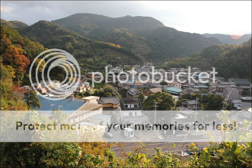 photo IMG_6001_zps5aktxauo.jpg
