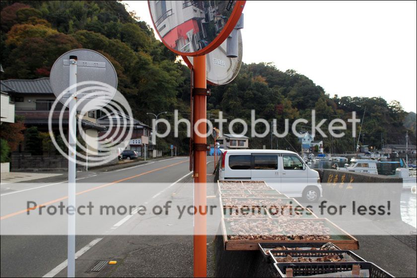 photo IMG_6013_zps2mmmb5ty.jpg