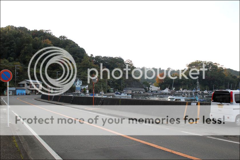 photo IMG_6016_zpsyllbhdqi.jpg