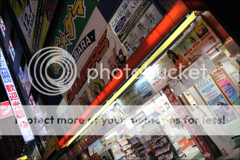 photo IMG_6055_zpsmeog4gow.jpg
