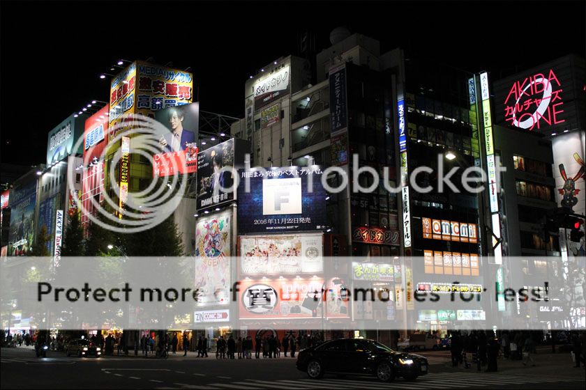 photo IMG_6062_zpsltodkhhd.jpg