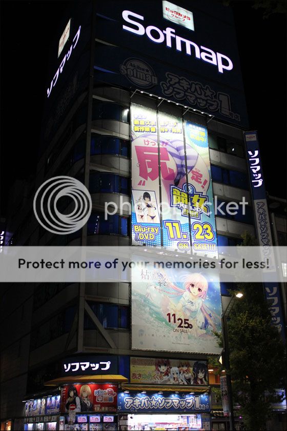 photo IMG_6066_zpsgiwzyyrc.jpg