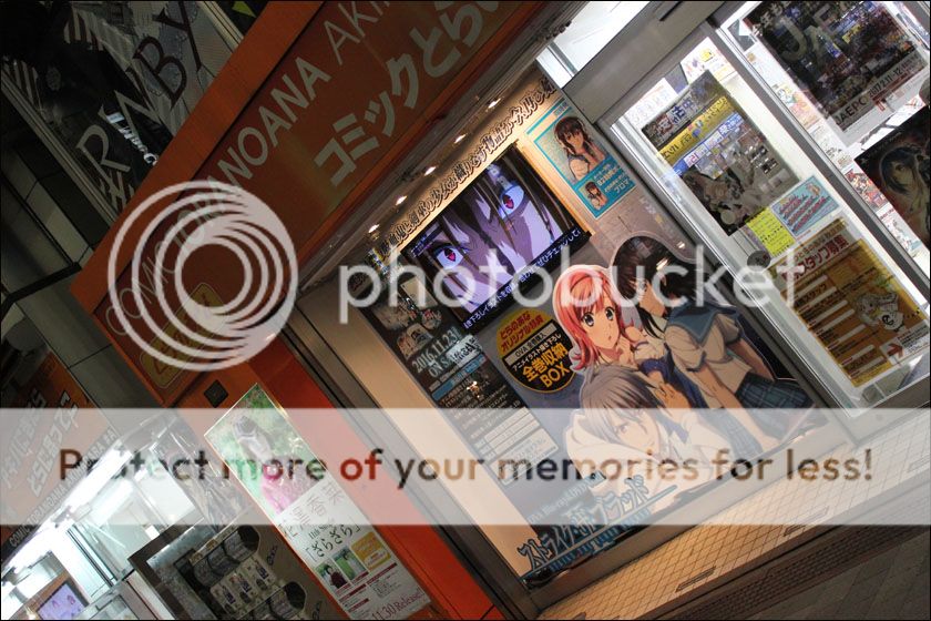 photo IMG_6068_zpsob8cuyhy.jpg