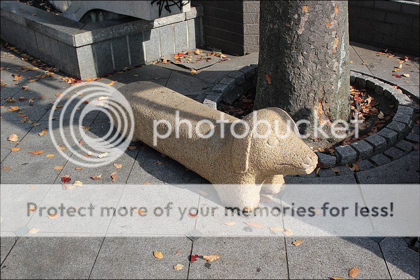 photo IMG_6093_zps5ii1t6wt.jpg