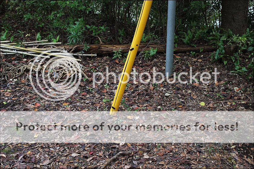 photo IMG_6119_zpswvguuqa3.jpg