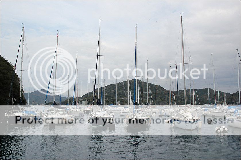 photo IMG_6135_zps5psotm4t.jpg