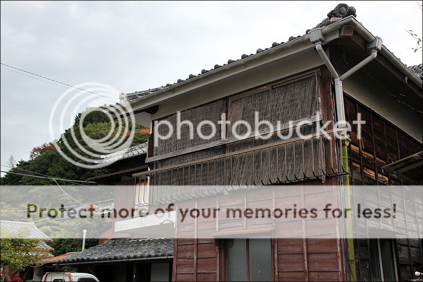 photo IMG_6169_zpsk7lg49y5.jpg