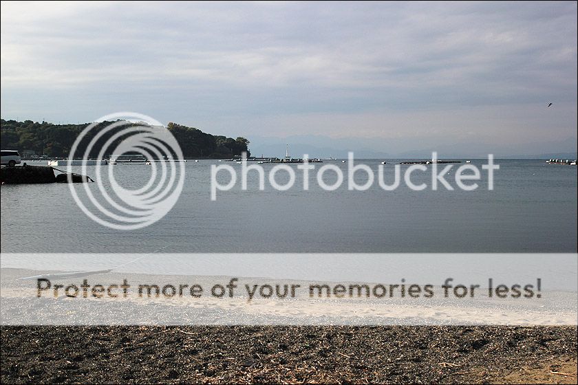 photo IMG_6235_zps3qxbiizx.jpg