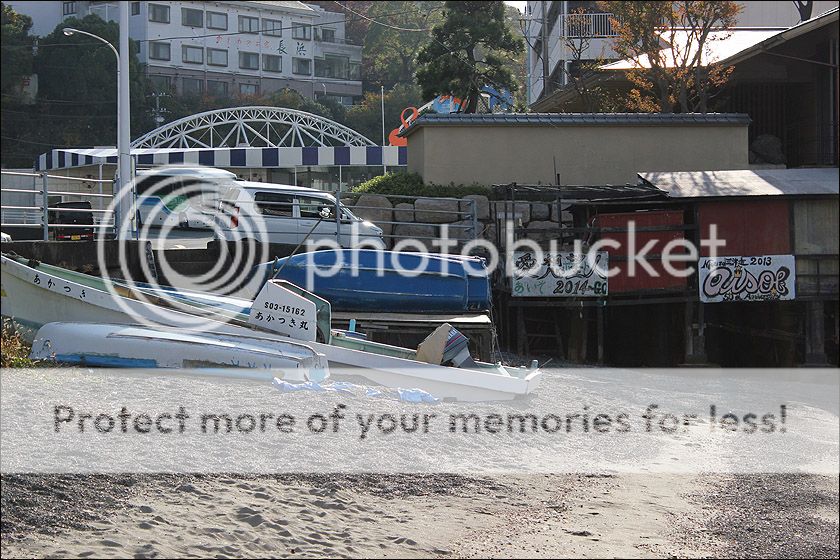 photo IMG_6253_zps68fzsqry.jpg