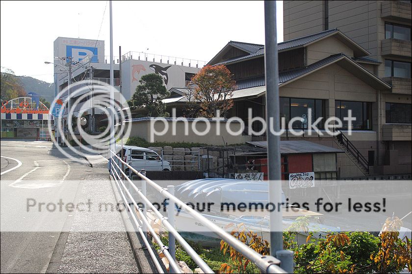 photo IMG_6275_zps0qjvi9wv.jpg
