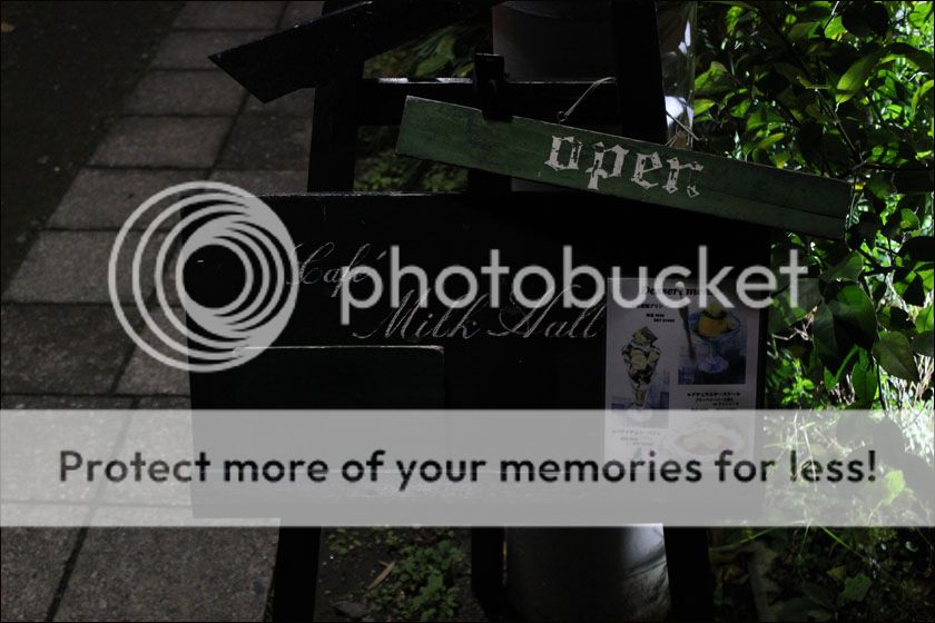 photo IMG_6395_zpswjlknqq1.jpg