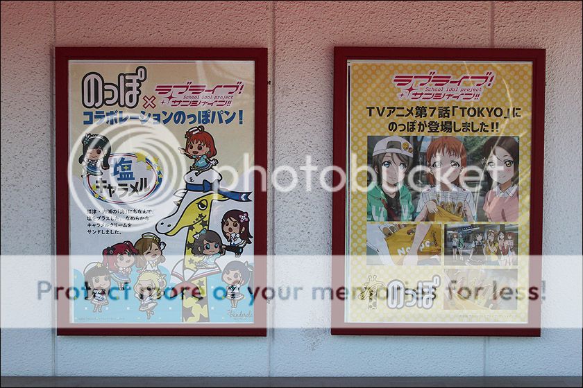 photo IMG_6521_zpsh5o0kazr.jpg