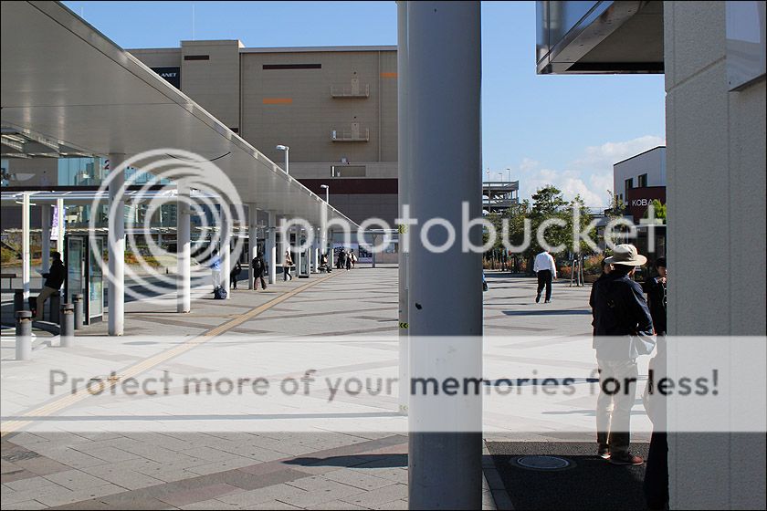 photo IMG_6526_zpsyfpnf1wq.jpg