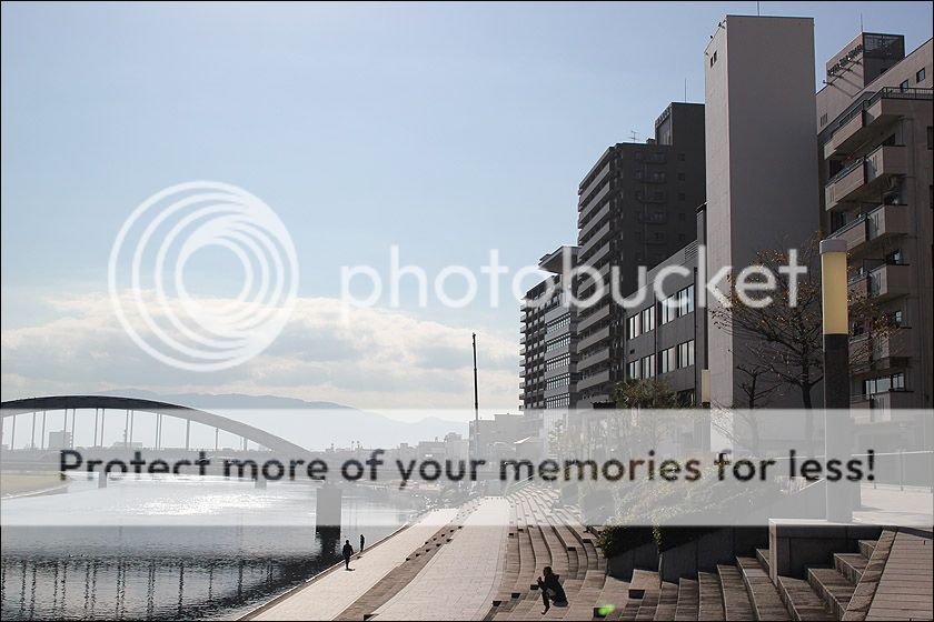 photo IMG_6565_zpsbul6s4vd.jpg