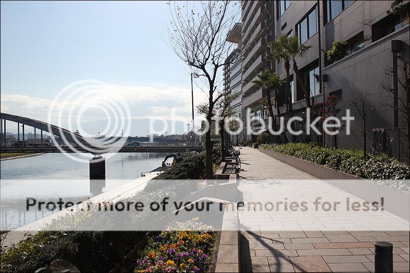 photo IMG_6566_zpslftwt9v7.jpg