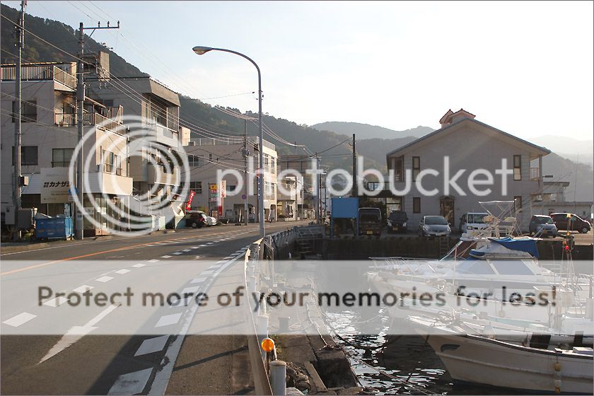 photo IMG_6691_zpsmc5yw6dr.jpg