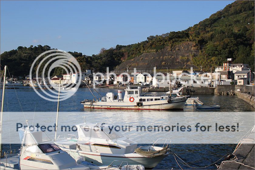 photo IMG_6692_zps3jaz7phi.jpg