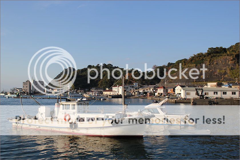 photo IMG_6696_zpsobewypgi.jpg