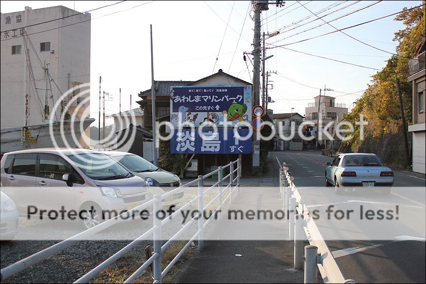 photo IMG_6701_zpsm7nawahg.jpg