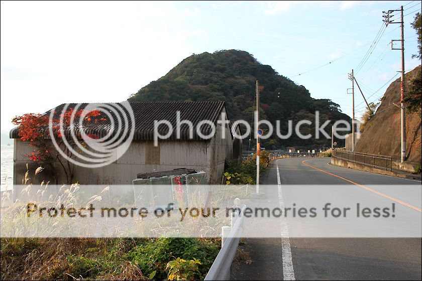 photo IMG_6712_zpsdvelcktr.jpg