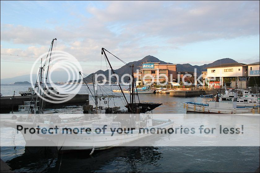 photo IMG_6715_zpsl5pepexa.jpg