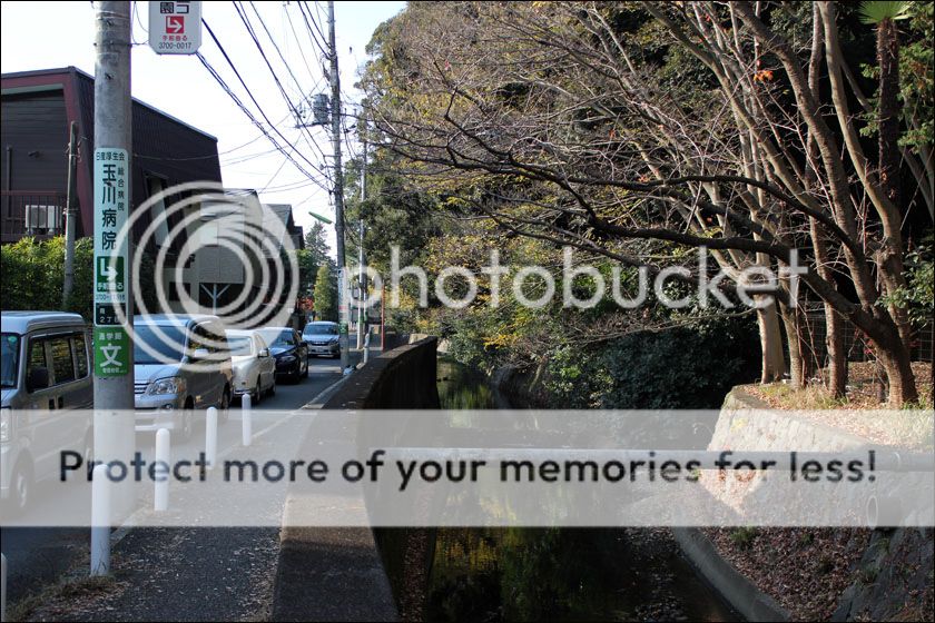 photo IMG_6890_zpsh5qlye3z.jpg