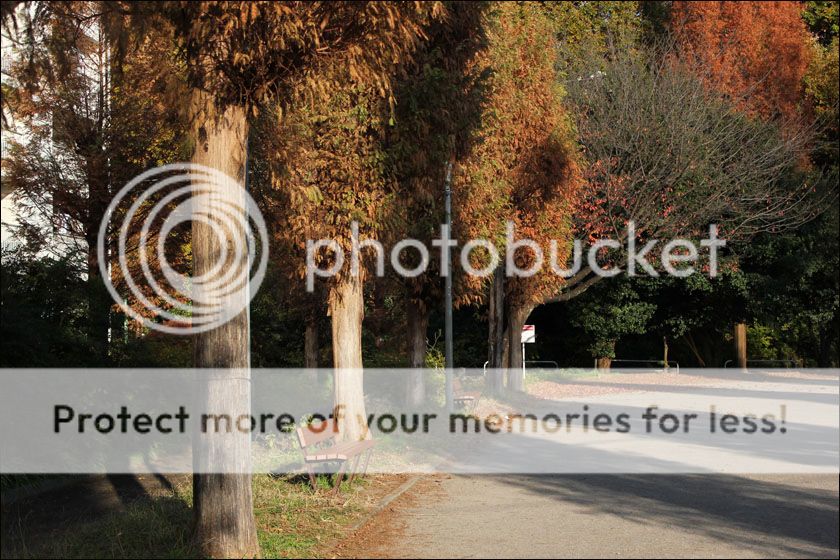 photo IMG_6924_zpssqgvn0qa.jpg