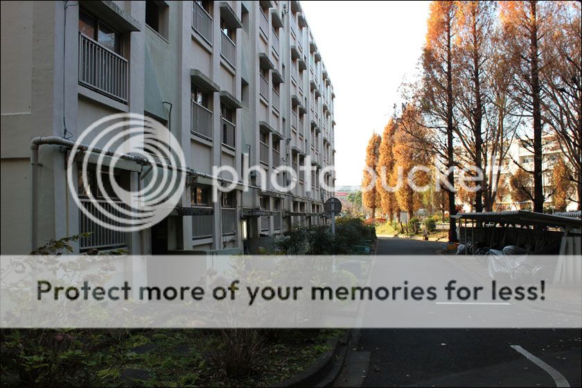 photo IMG_6937_zpsssmepain.jpg