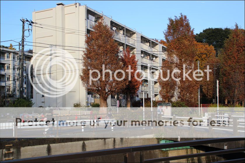 photo IMG_6966_zpsxq3bo68f.jpg