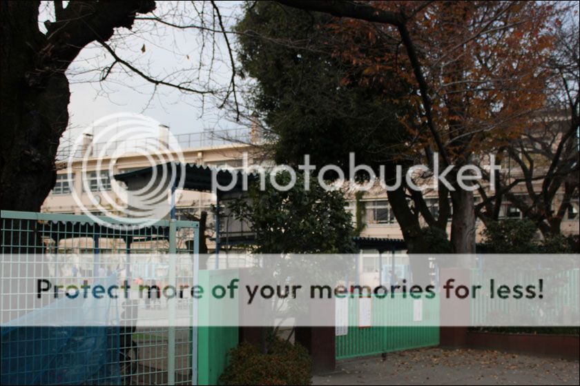 photo IMG_6973_zpsj3bjhrd6.jpg