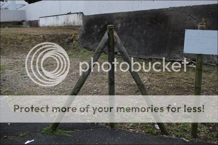 photo IMG_6993_zpszxpuxhjs.jpg
