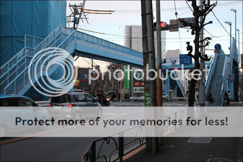 photo IMG_6999_zpst4l15zii.jpg