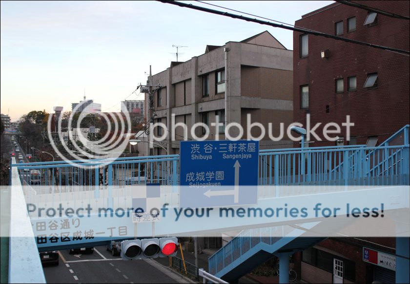 photo IMG_7012_zpsofgqxdbg.jpg